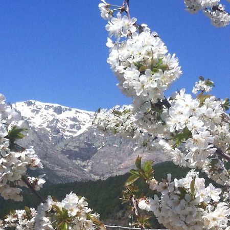 فيلا El Llano - El Hornillo, Tu Pueblo En La Sierra De Gredos. المظهر الخارجي الصورة
