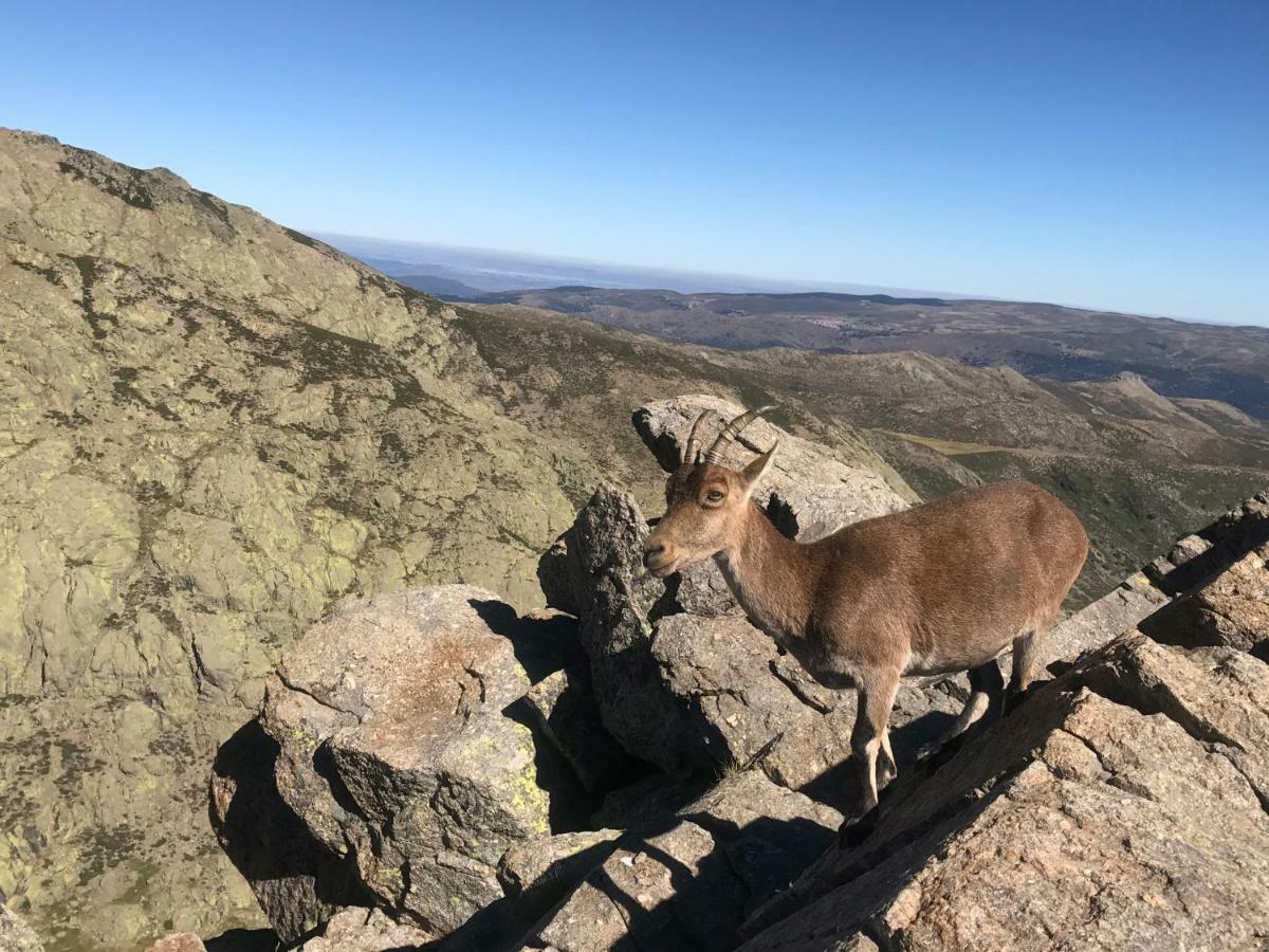 فيلا El Llano - El Hornillo, Tu Pueblo En La Sierra De Gredos. المظهر الخارجي الصورة